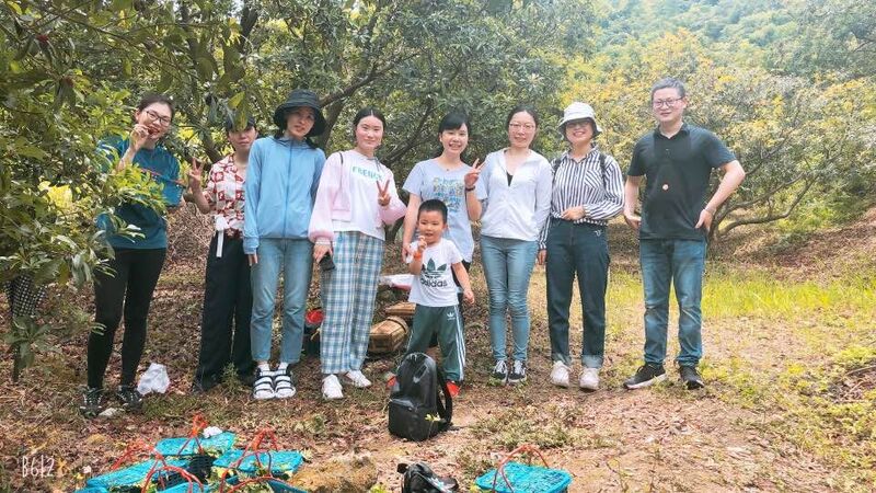 一场与杨梅的邂逅之旅